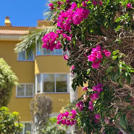 アパート Hermitage Homes Rpla